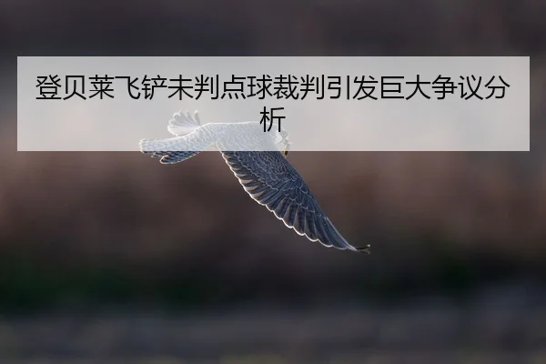 deng-bei-lai-fei-chan-wei-pan-dian-qiu-cai-pan-yin-fa-ju-da-zheng-yi-fen-xi-2-437.jpg