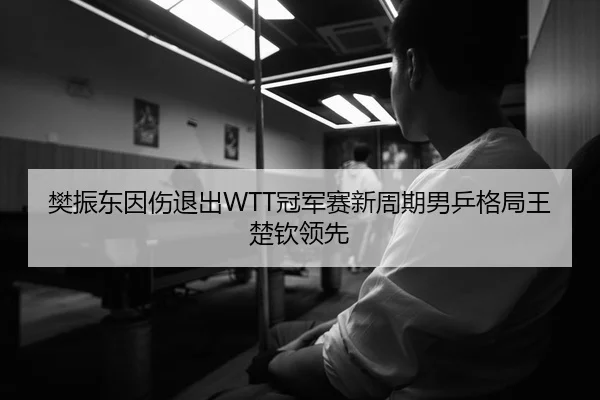 樊振东因伤退出WTT冠军赛新周期男乒格局王楚钦领先
