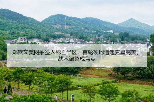 zheng-qin-wen-mei-wang-chou-qian-ru-si-wang-ban-qu-shou-lun-ying-di-zao-yu-ke-xing-gao-fu-zhan-shu-tiao-zheng-cheng-3-577.jpg