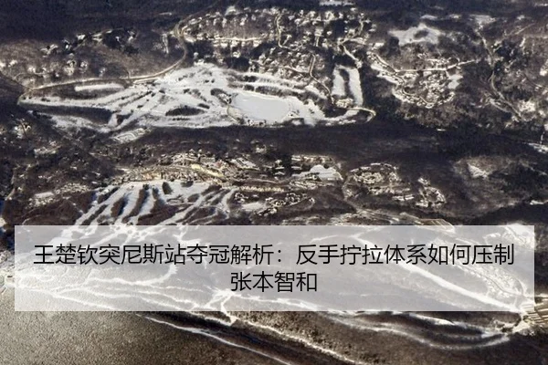 wang-chu-qin-tu-ni-si-zhan-duo-guan-jie-xi-fan-shou-ning-la-ti-xi-ru-he-ya-zhi-zhang-ben-zhi-he-2-846.jpg