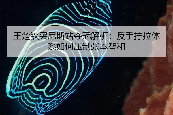 王楚钦突尼斯站夺冠解析：反手拧拉体系如何压制张本智和