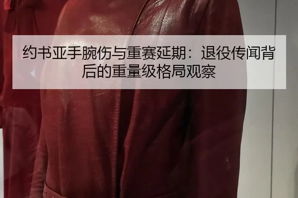 约书亚手腕伤与重赛延期：退役传闻背后的重量级格局观察